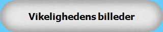 Vikelighedens billeder